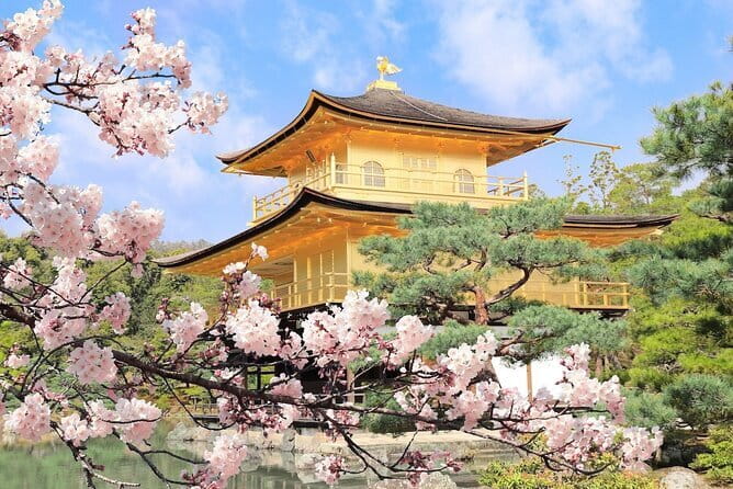 Osaka Castle & Samurai History Walking Tour - Osaka Castle Park and the castle as a living place