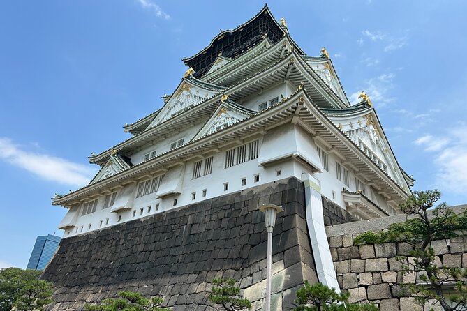 Osaka Castle Walking Tour and Castle Tower Admission - Toyokuni Shrine and the story of Hideyoshi