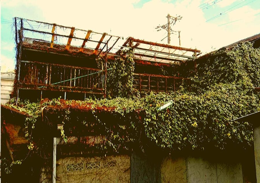Osaka: Deep Backstreets Walking Tour with Dinner Option - Why this Osaka walk feels different