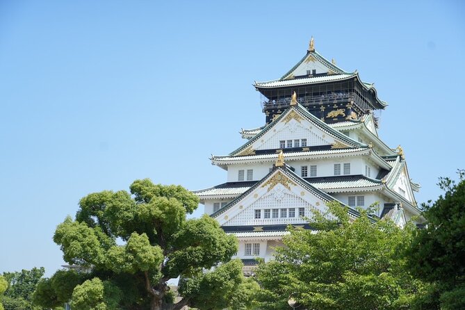 Osaka Early Morning Tour with English-Speaking Guide Dotonbori - Hozen-ji Temple in the Middle of the City