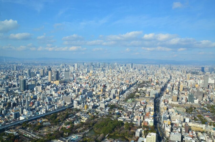 Osaka: Full-Day Sightseeing Tour by Private Vehicle - The guide can make or break the day