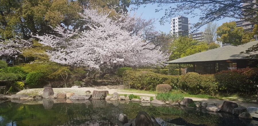 Osaka: Full-Day Sightseeing Tour by Private Vehicle - Abeno Harukas: city views and a serious food basement