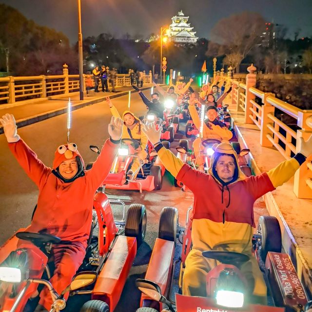 Osaka: Guided Go Karting Tour in a Funny Costume - Dotonbori after dark
