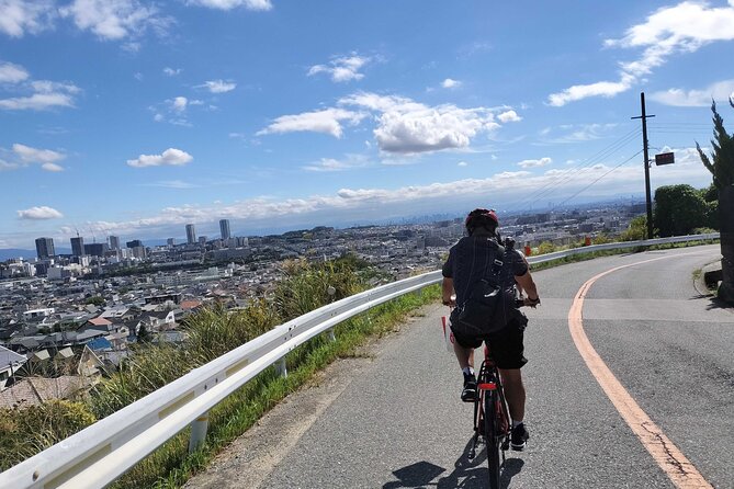 Osaka Half-day E-bike Adventure: Minoh Falls & Katsuoji Temple - Five things to know before you book