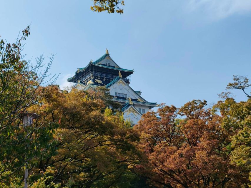 Osaka: Half-day Ultimate Highlights Guided Walking Tour - Six useful things to know before booking
