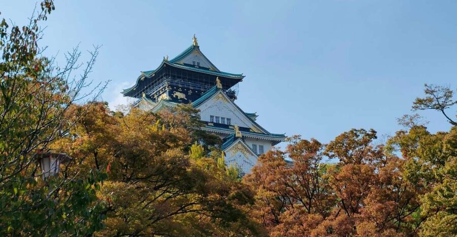 Osaka: Half-day Ultimate Highlights Guided Walking Tour - Shinsaibashi and Namba, Osaka’s long shopping tradition