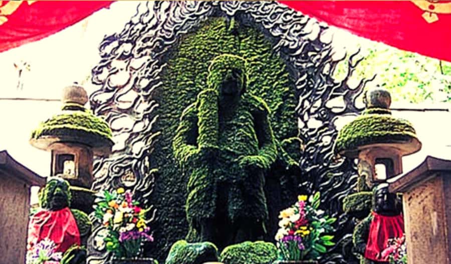 Osaka: Hotspots & Hidden Gems Walking Tour Private or Group - Why this walk works as an Osaka introduction