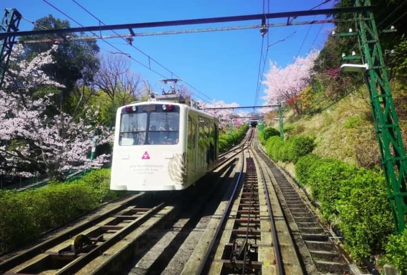 Osaka/Kyoto: Amanohashidate & Miyama Tour with Boat & Lunch - A Filling Amanohashidate Lunch