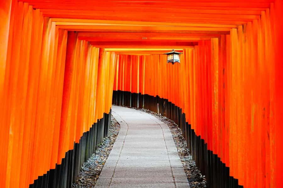 Osaka/Kyoto: Arashiyama, Nara & Fushimi Inari Shrine w/Lunch - Lunch at Kyoto Wasabi in a historic townhouse
