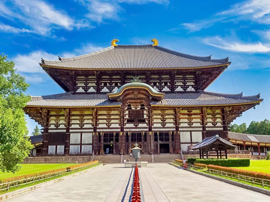 Osaka/Kyoto: Arashiyama, Nara & Fushimi Inari Shrine w/Lunch - Fushimi Inari’s torii gate tunnel