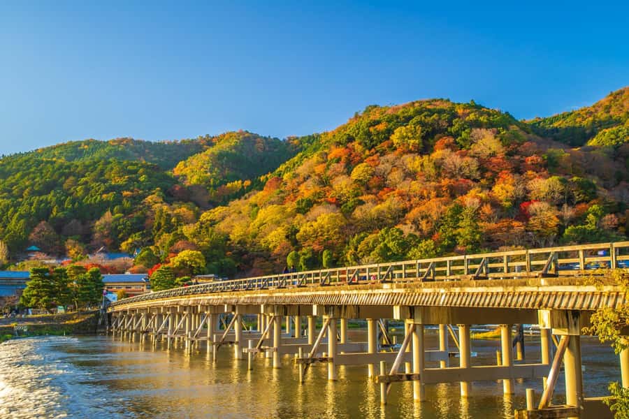 Osaka/Kyoto: Arashiyama, Nara & Fushimi Inari Shrine w/Lunch - What the guides add to the day