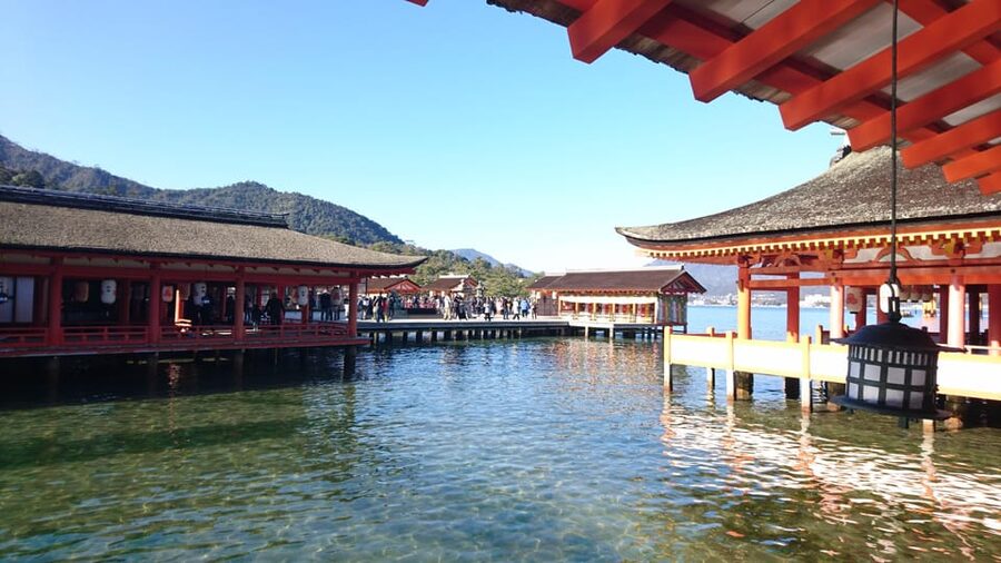 Osaka/Kyoto: Hiroshima Miyajima Bus Tour & Shinkansen Ticket - Itsukushima Shrine and your free hour