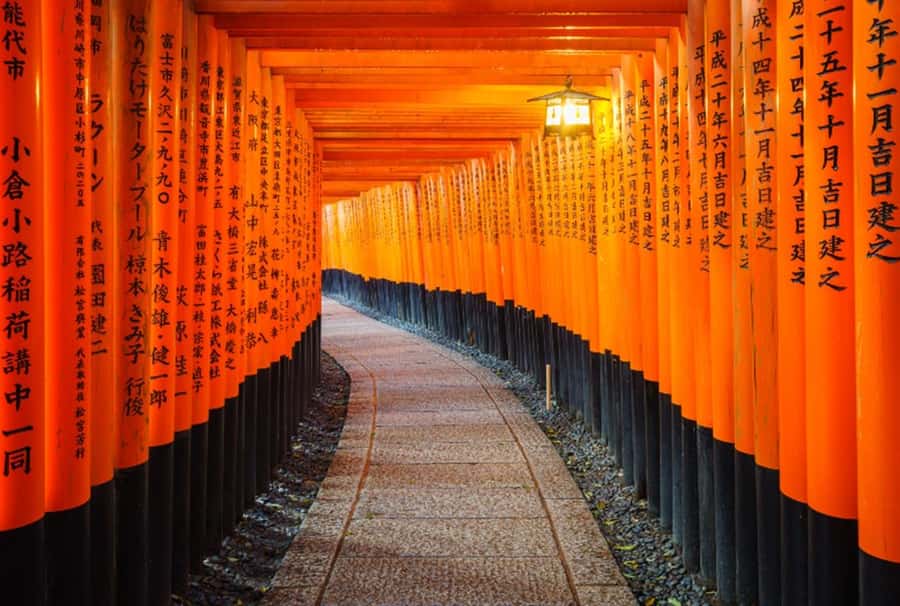 Osaka/Kyoto:Kinkakuji,Arashiyama,FushimiInariShrine,NaraPark - Why this route works for a first visit
