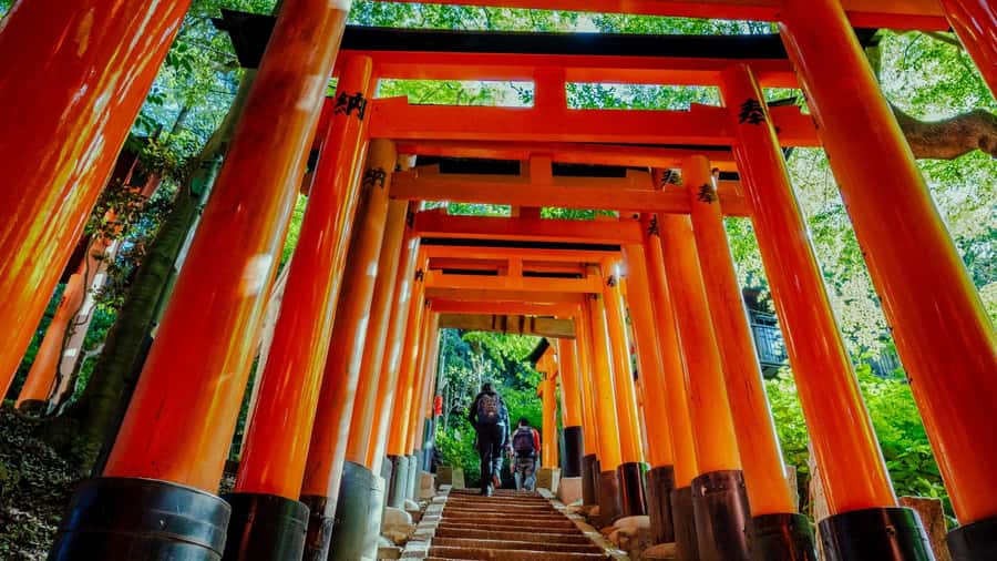 Osaka/Kyoto:Kinkakuji,Arashiyama,FushimiInariShrine,NaraPark - The Kobe beef lunch choice
