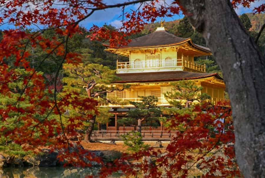 Osaka/Kyoto:Kinkakuji,Arashiyama,FushimiInariShrine,NaraPark - Fushimi Inari and the vermilion gate tunnel