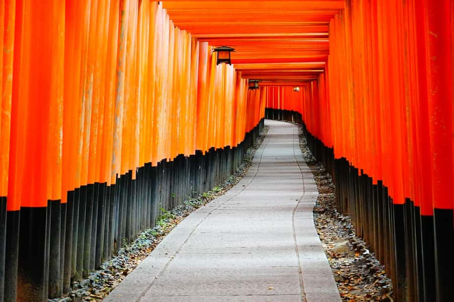 Osaka/Kyoto:Kinkakuji,Arashiyama,FushimiInariShrine,NaraPark - Nara Park and Todai-ji: deer first, Buddha second
