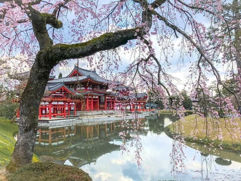 Osaka: Kyoto & Nara & Uji Historical and Scenic One-Day Tour - What this Osaka day trip is really trying to do