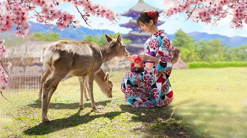 Osaka: Kyoto & Nara & Uji Historical and Scenic One-Day Tour - Byodoin Temple and the calm side of Uji