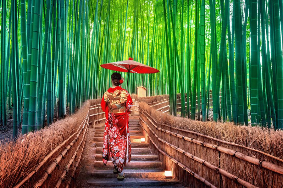 Osaka/Kyoto: Private Kyoto and Nara Day Trip - Arashiyama Bamboo Forest and the western side of Kyoto