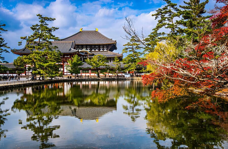 Osaka/Kyoto: Private Kyoto and Nara Day Trip - The private van makes the long day easier