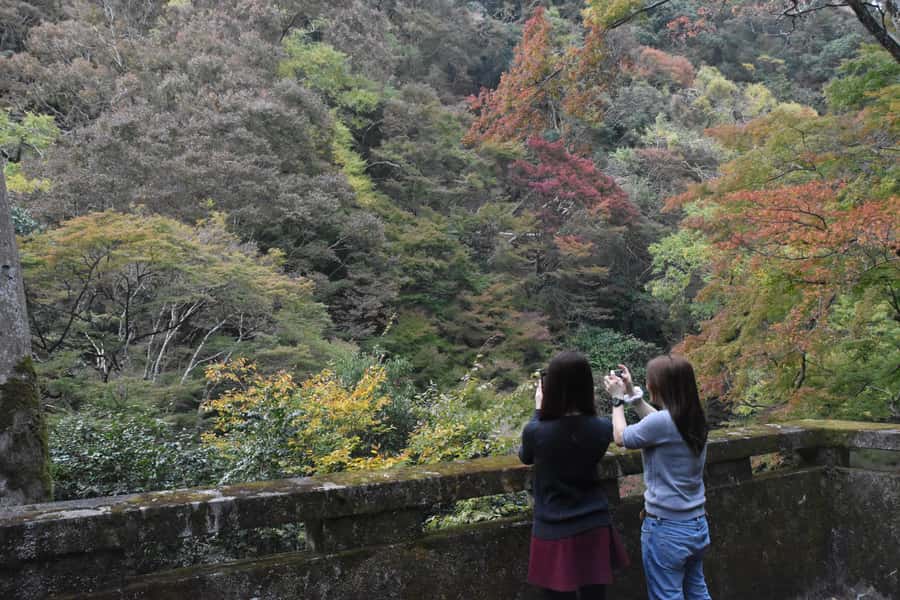 Osaka: Mino Forest Walk and Giant Waterfall with Local Lunch - The Easier 45-Minute Return Walk