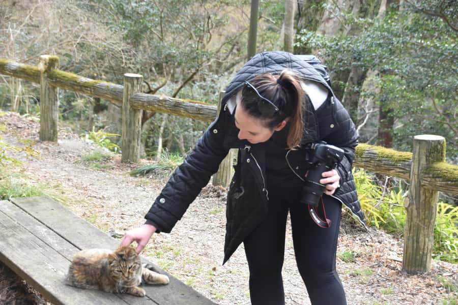 Osaka: Mino Forest Walk and Giant Waterfall with Local Lunch - What Makes the Guides Important