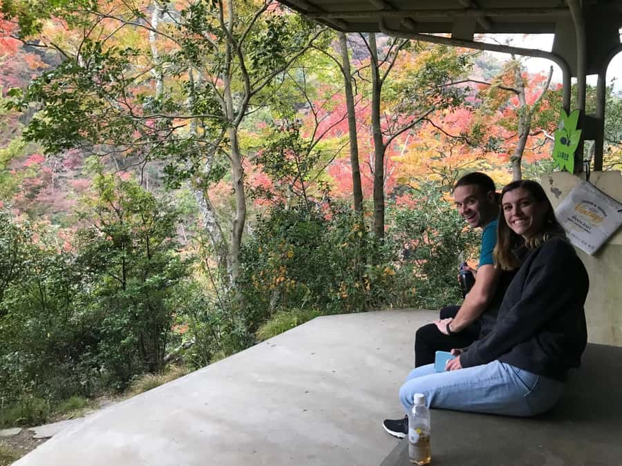 Osaka: Mino Forest Walk and Giant Waterfall with Local Lunch - Is $79 a Fair Price?