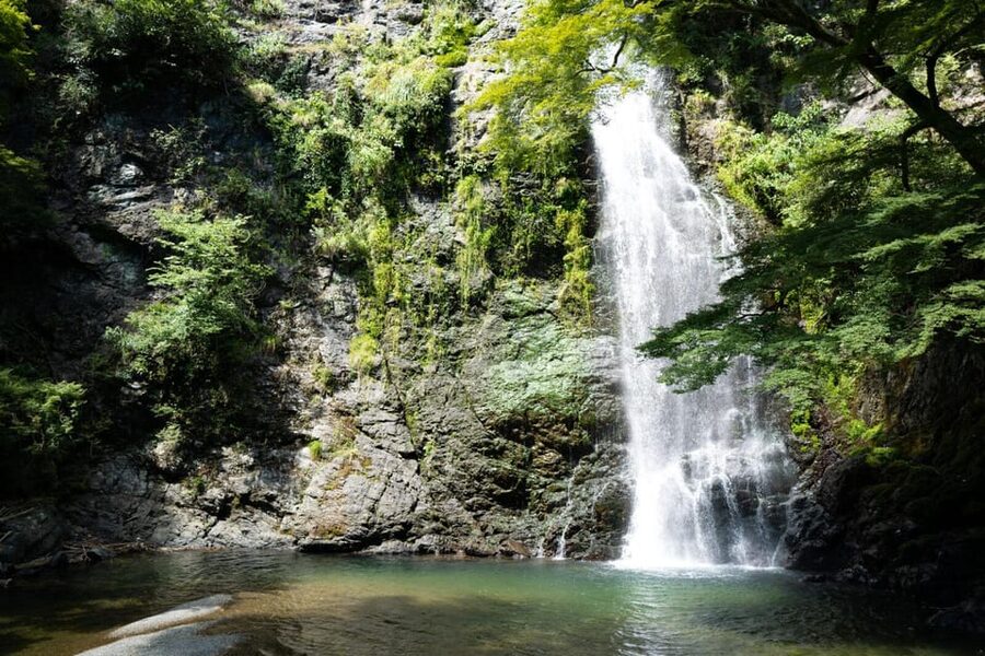 Osaka: Minoh, Katsuoji Temple, & Minoh Falls Full-day Tour - Who will enjoy this Osaka escape