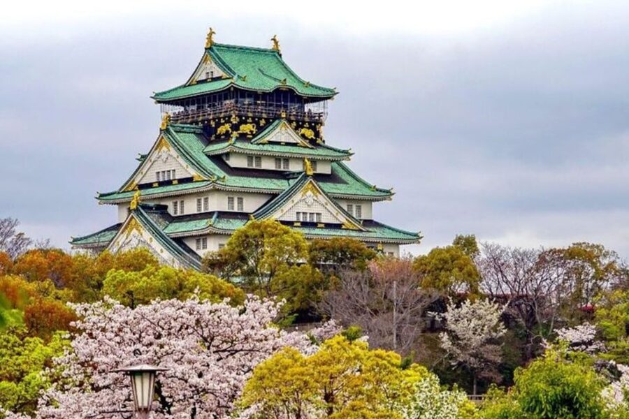 Osaka: Private Custom Walking Tour with a Local Guide - The guide makes the biggest difference