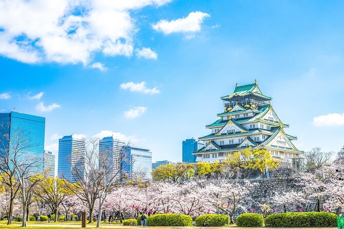 Osaka Private Day Trip - Enjoy Your First-Time Visit to Osaka! - Five things to know before you book
