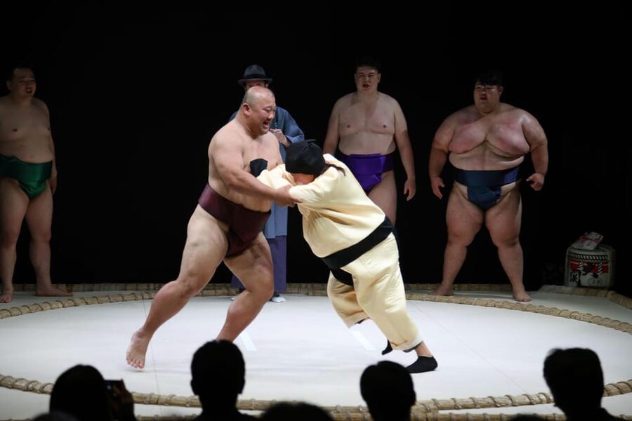 Osaka: Sumo Stage Show with Bento or Snack + Fight & Photo - Who should book this experience?
