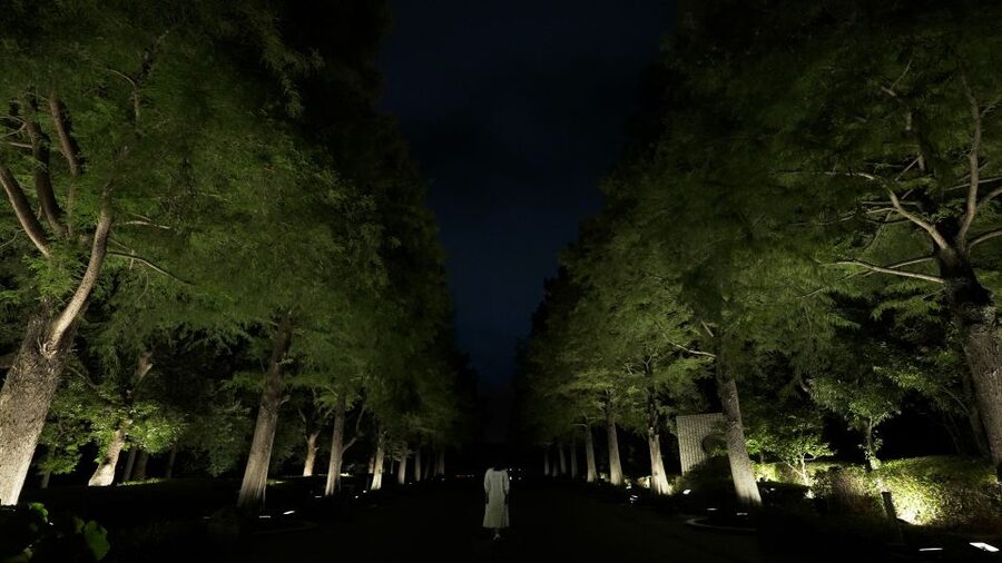 Osaka: teamLab Botanical Garden Entry Ticket - Key points to know before you go