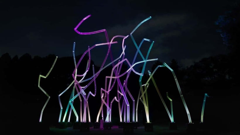Osaka: teamLab Botanical Garden Entry Ticket - Interactive lights make you part of the artwork
