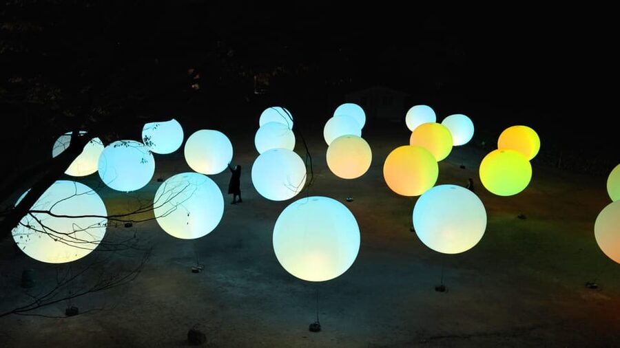 Osaka: teamLab Botanical Garden Entry Ticket - Music and darkness shape the mood