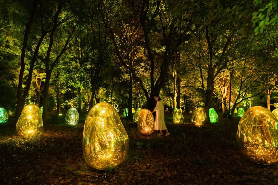 Osaka: teamLab Botanical Garden Entry Ticket - A good activity for couples and families