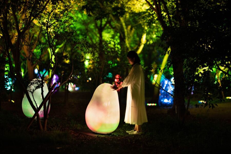 Osaka: teamLab Botanical Garden Entry Ticket - What to wear for an outdoor art show