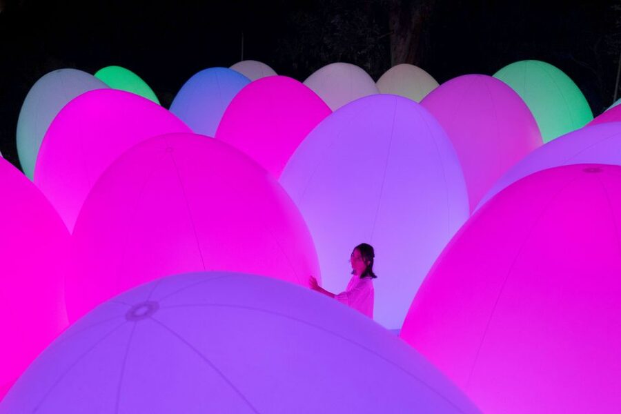 Osaka: teamLab Botanical Garden Entry Ticket - The central pond brings the project together