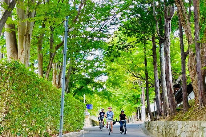 Pedal Adventure Kyoto's iconic landmarks on an e-bike tour - Gion: a quick introduction to geisha culture