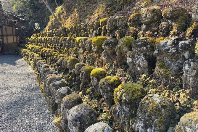 Pedal Adventure Kyoto's iconic landmarks on an e-bike tour - A guide who adds more than dates and names