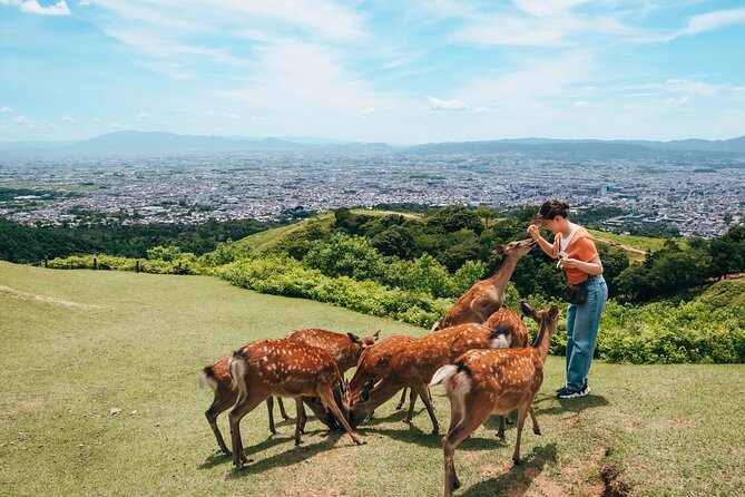Perfect Nara Park Half-Day Bus Tour with English Speaking Guide - Why this half-day tour works well in Nara