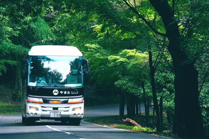 Perfect Nara Park Half-Day Bus Tour with English Speaking Guide - What the guide adds to the experience
