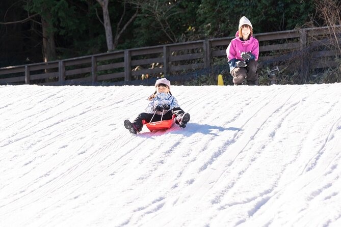 Play with Snow Crab Buffet Lunch and Strawberry Picking Bus Tour - Key details to know before booking