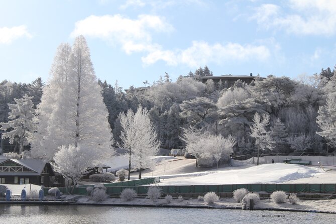 Play with Snow Crab Buffet Lunch and Strawberry Picking Bus Tour - Mt. Rokko Snow Park: 90 minutes in the winter air