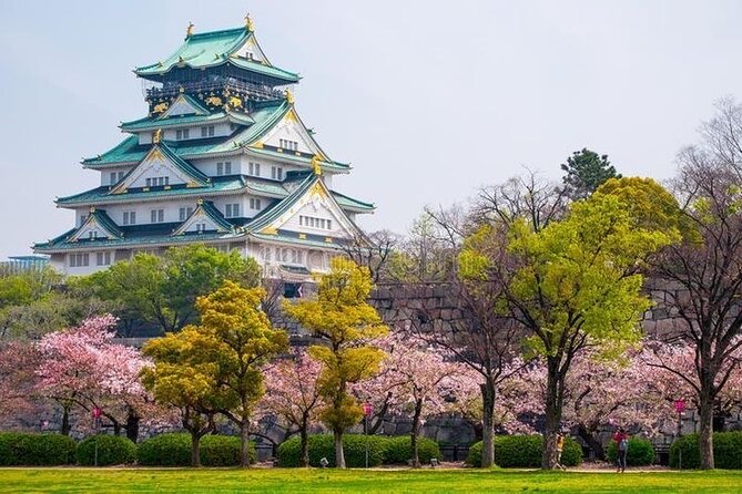 PRIVATE 6hr, Food tour from Osaka Castle, Kuromon, Dotonbori. - The tour at a glance