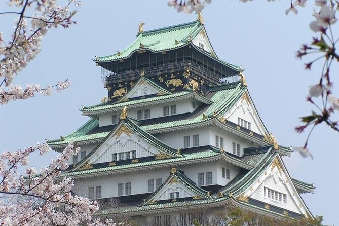 PRIVATE 6hr, Food tour from Osaka Castle, Kuromon, Dotonbori. - What the $155 price really buys