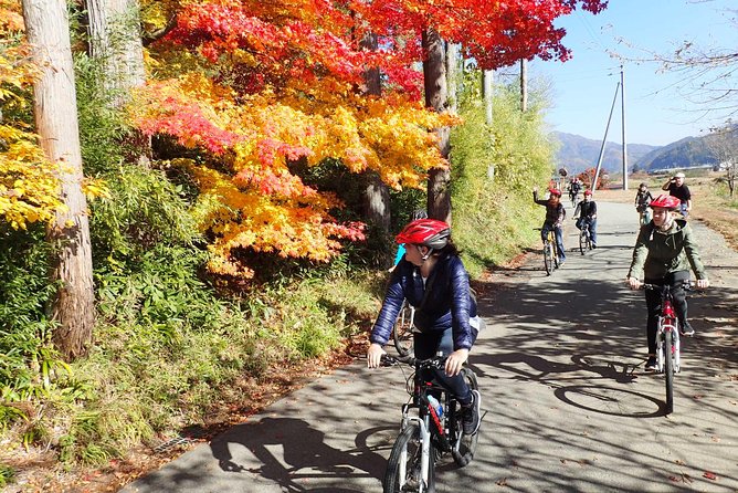 Private Afternoon Cycling Tour in Hida-Furukawa - Why Hida-Furukawa Is Worth Seeing by Bicycle