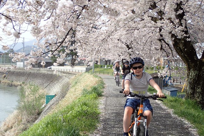 Private Afternoon Cycling Tour in Hida-Furukawa - Vegetable Markets and Traditional Farmhouses