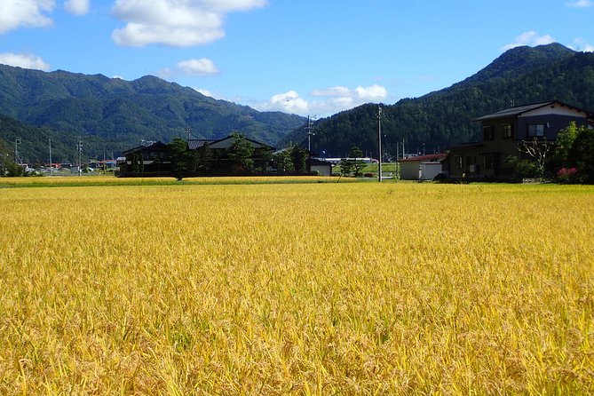 Private Afternoon Cycling Tour in Hida-Furukawa - Old Streets Before the Open Fields