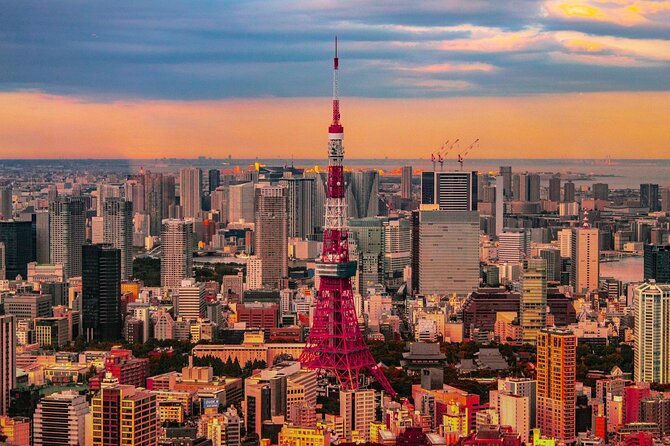 Private and Customisable Tokyo Tour with English Driver-guide - Five things to know before booking