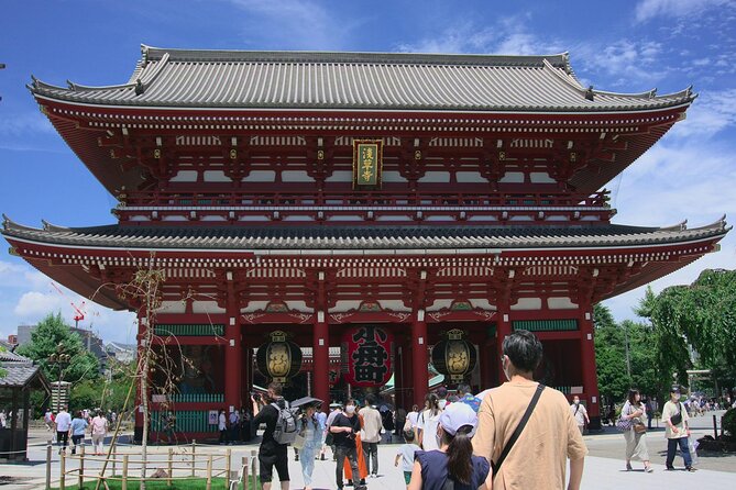 Private and Customisable Tokyo Tour with English Driver-guide - Starting high at Tokyo Skytree